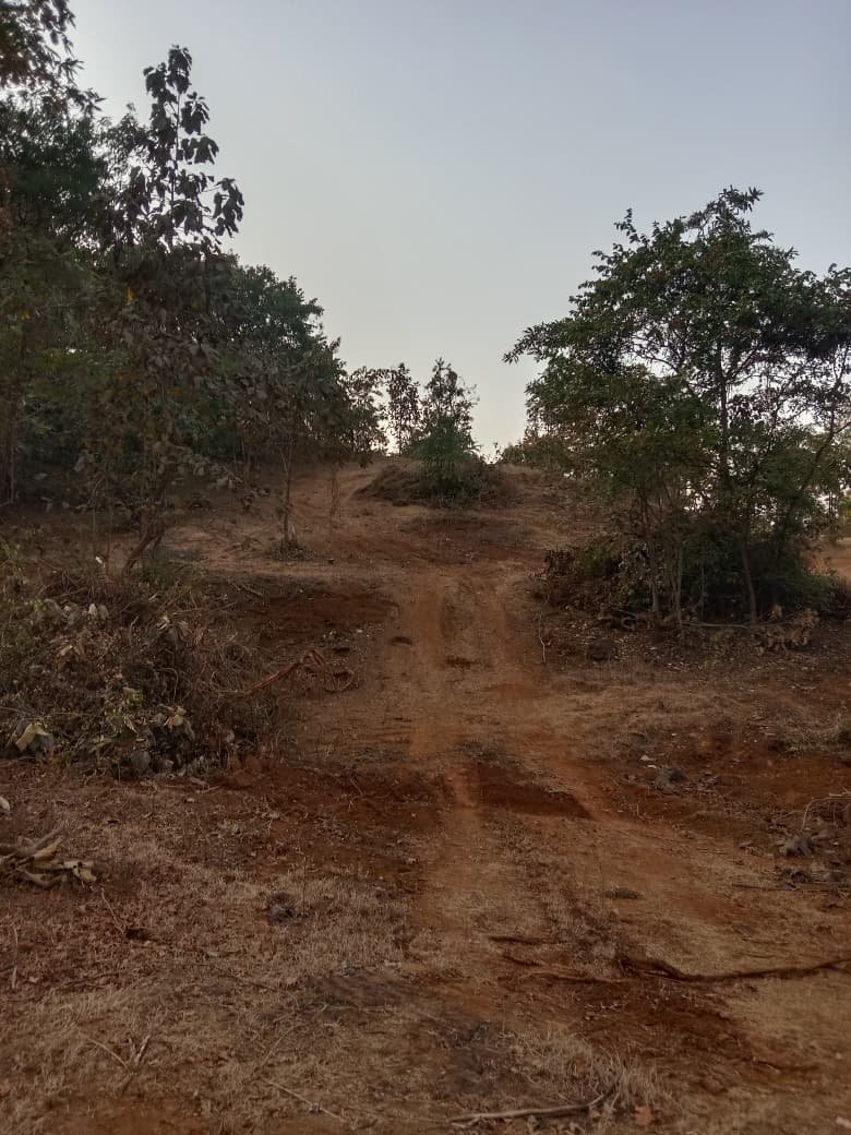 whatsapp image 2026 01 16 at 5.18.32 pm