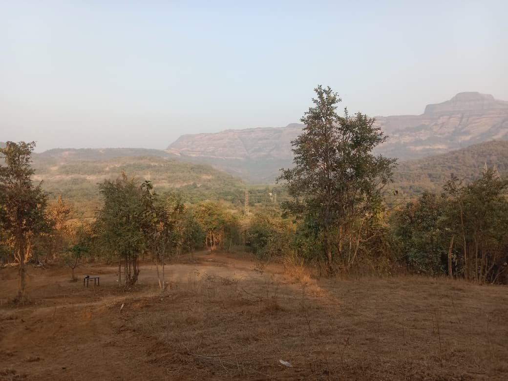 whatsapp image 2026 01 16 at 5.20.14 pm