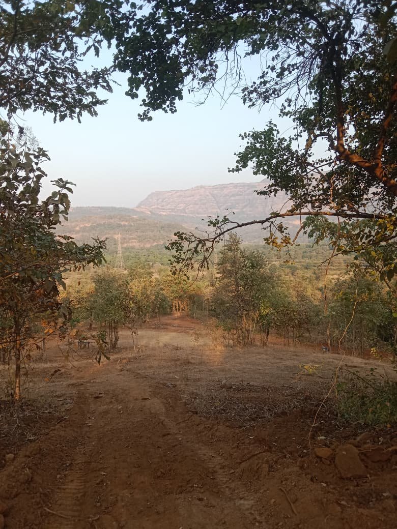 whatsapp image 2026 01 16 at 5.20.17 pm (1)