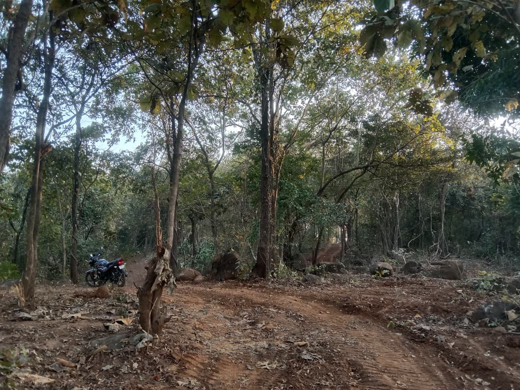 whatsapp image 2026 01 16 at 5.20.19 pm (1)