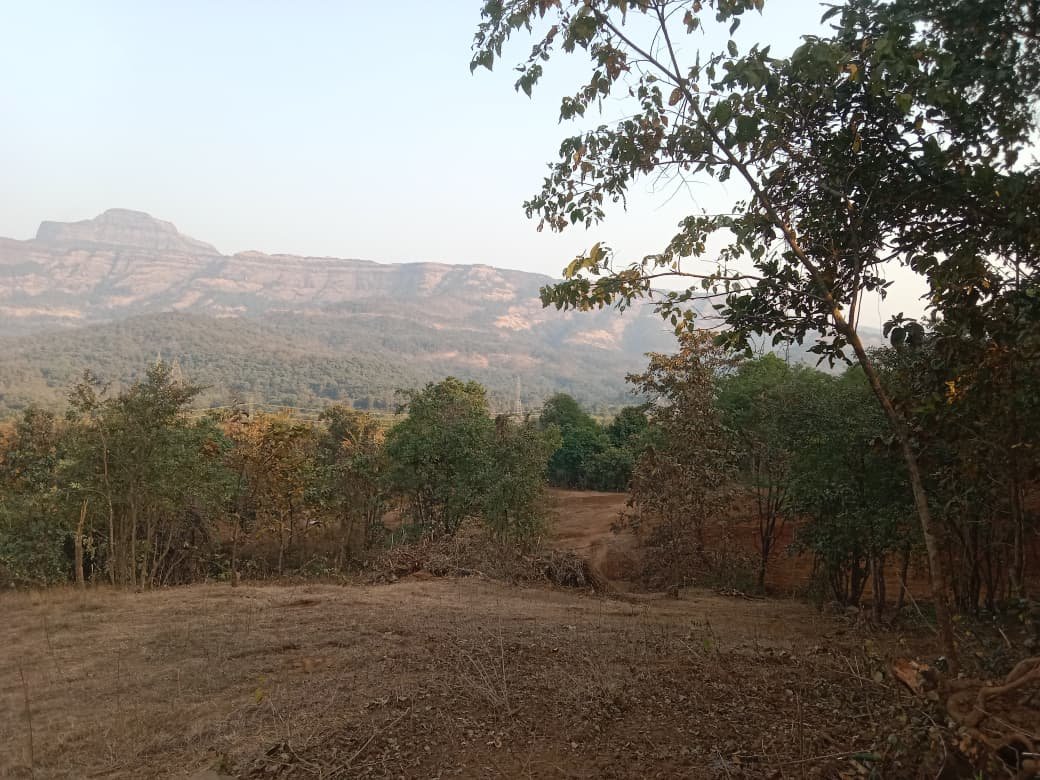 whatsapp image 2026 01 16 at 5.20.19 pm