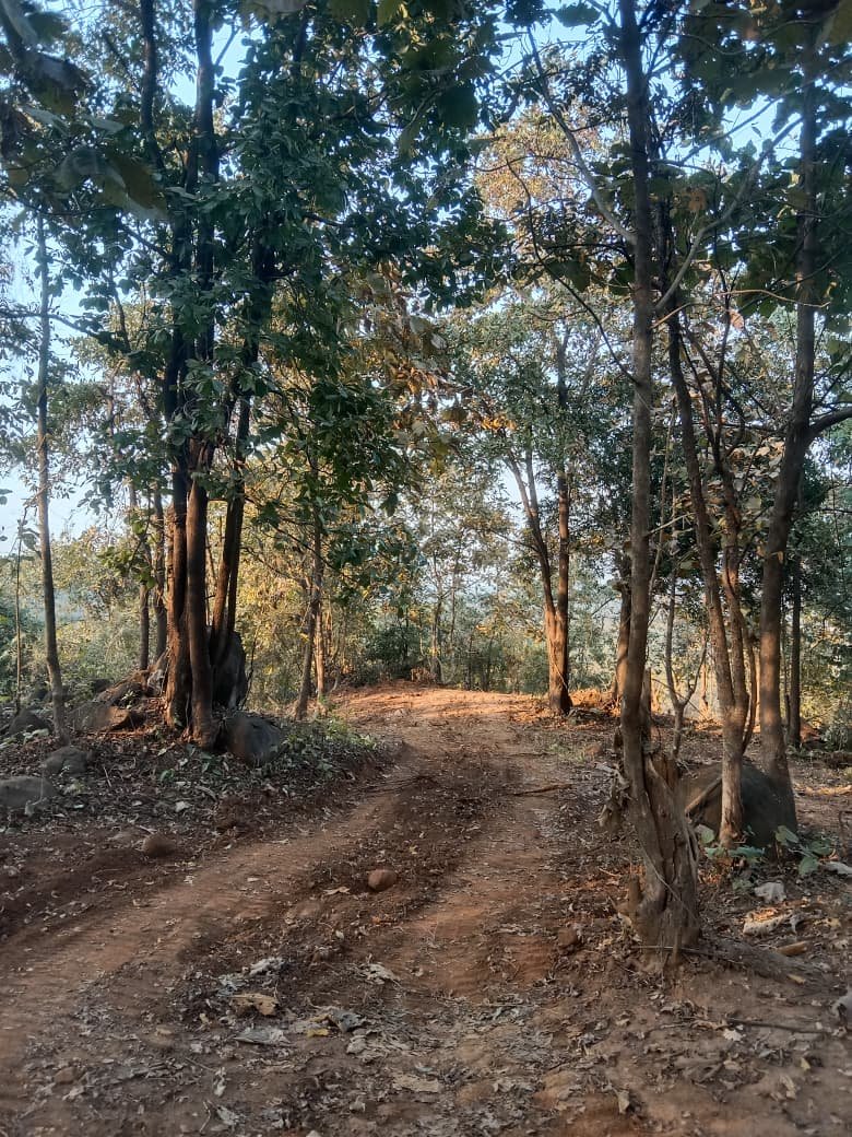 whatsapp image 2026 01 16 at 5.20.20 pm