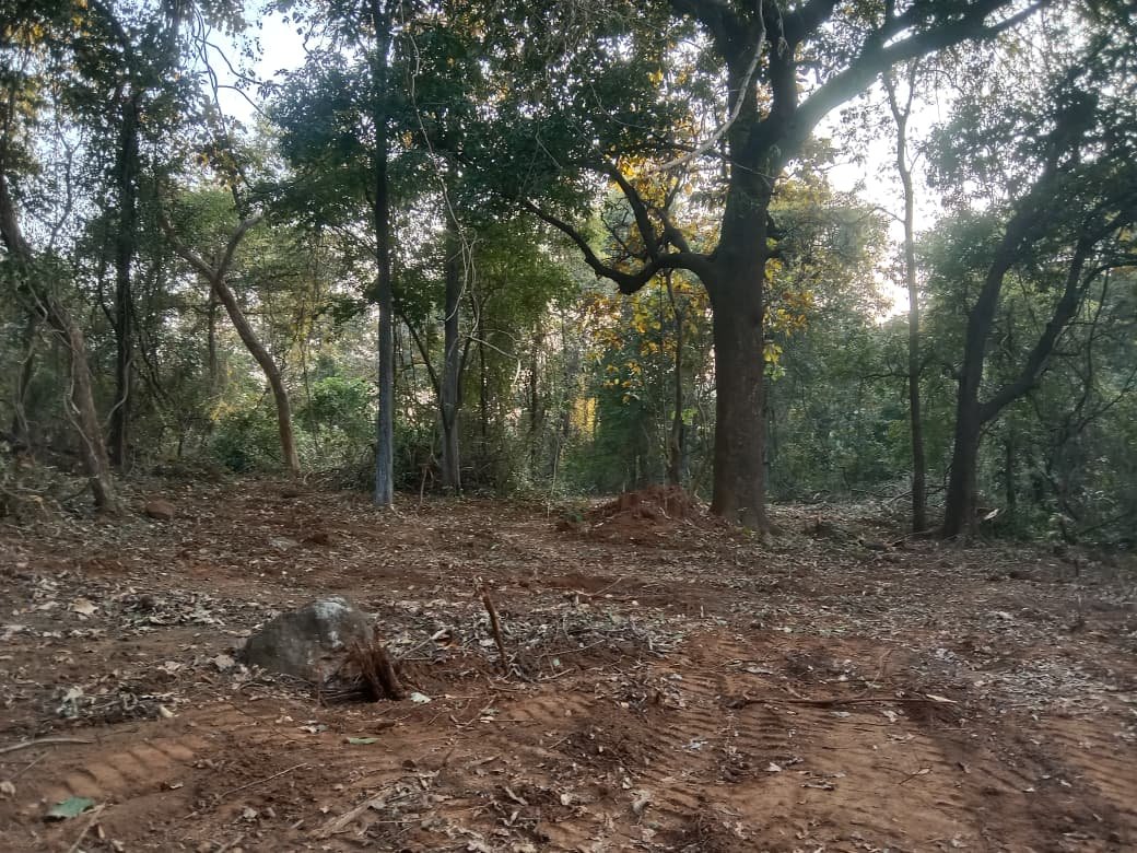 whatsapp image 2026 01 16 at 5.25.54 pm