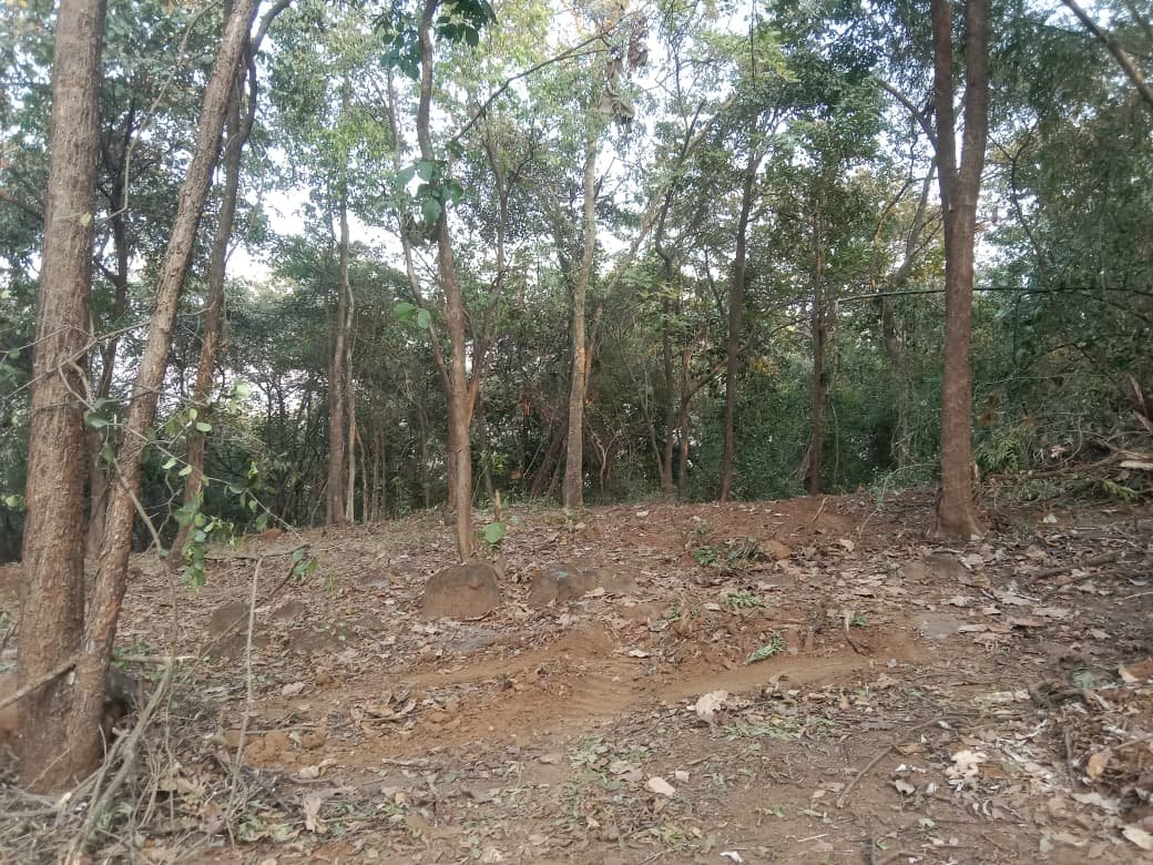 whatsapp image 2026 01 16 at 5.25.56 pm