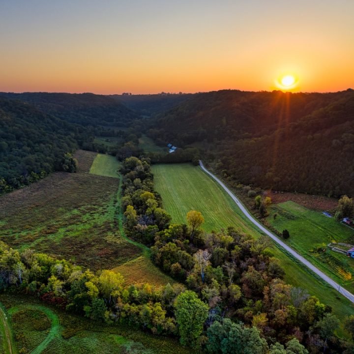 the green heaven rahim rakhangi